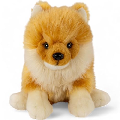 Carl Dick Zwergspitz, Pomeranian Hund sitzend, Hund, Plüschtier, Kuscheltier, ca. 25cm 3557