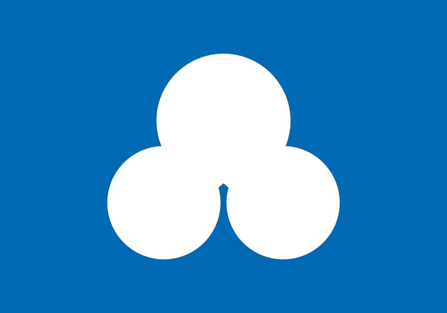Drapeau Sumoto Hyogo grand pavillon japonais de ville pour mât extérieur