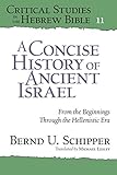 A Concise History of Ancient Israel: From the Beginnings Through the Hellenistic Era (Critical Studies in the Hebrew Bible)