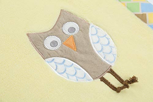 Laugh Giggle & Smile Mod Owls Blanket 30"X40" #TOP3