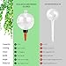 Soilagua 19 oz Extra Large Plant Self Watering Globes Top Fill, Plastic Water Bulbs, Slow Release Terracotta Self Watering Planter Insert, Plant Watering Devices System, Water Spikes Stakes, 2 Pack