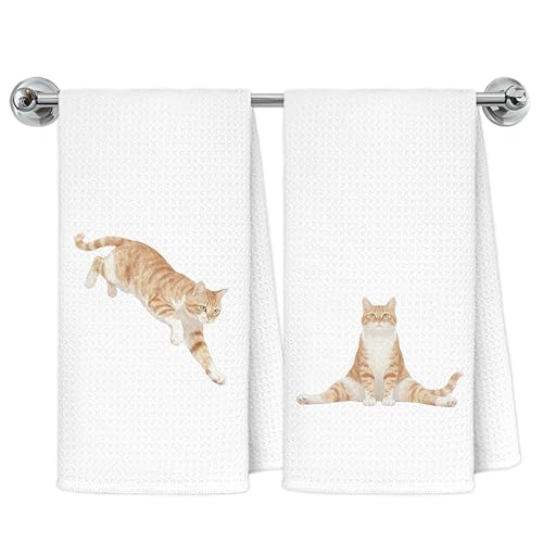 Exqcom t@j[IW^r[LbgLb`^IALD̂ꂳւ̃MtgfBbVeB[^I Lb`p 킢qL̑nh^I oX[̑A16x24C` 2Zbg