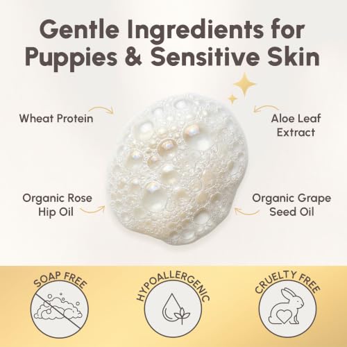 Image of Best Shot Scentament Spa Seasonal Facial & Body Wash, Harvest Apple, 16 oz