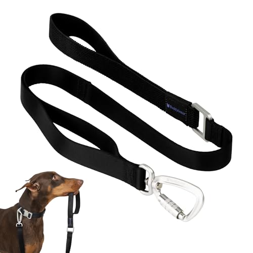 BuddyArmor iCp[h ϋv y gtBbNnhƐLk̂2̃nh[VAJriNbvbN vȌ̃g[jOEH[LO[h ^^p(~bhiCgubNAM)