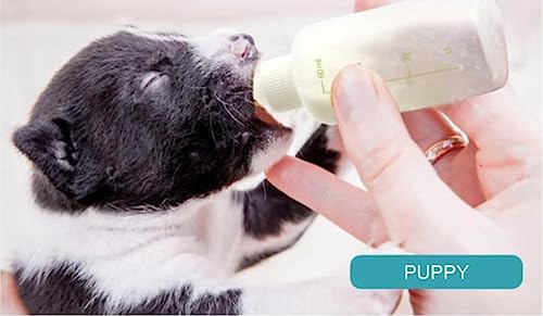 UQMIQURA Aufzuchtflasche Katze, Haustier Babyflasche Kit, Silikon Wasser Milch Flasche Silikon Babyflasche Neugeborene Pet Kleine Hunde Welpen Katze Milch Feeder mit Nippel Pinsel Set (60ml)