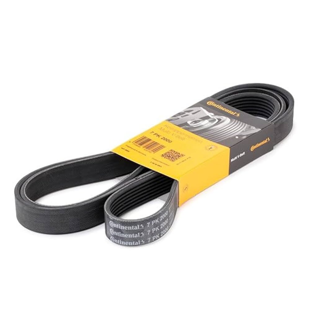 ビタレバン　6本　⑤ ビタレバン6本