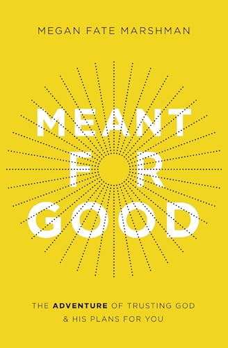Meant for Good view 2