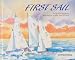 First Sail:  An Adventure Story Designed to Help New Sailors Learn the Ropes