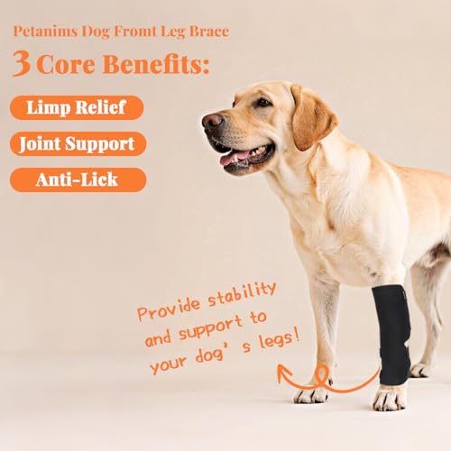 Petanims Dog Front Leg Brace – Carpal/Wrist Support for Dogs, Adjustable Non-Slip Wrap for Sprain, Arthritis & Injury Recovery, Breathable Comfort, Fits Left or Right - Extra Large