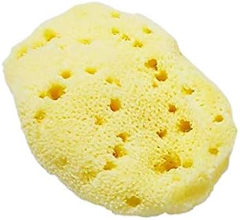 海綿スポンジ　世界最大？ Amazon | 海綿スポンジ ファインシルク サイズ7 | ボディスポンジ 通販