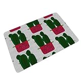 NA Entrance Way Tapis de Sol antidérapant Spiky CactTapis de Porte en Pot inspiré de Framboise pour la Maison Salle de Bain Baignoire Douche Chambre dirts Tapis Trappeur Blanc