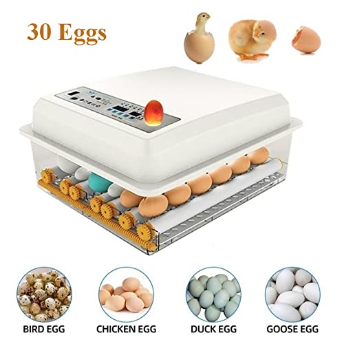 Inkubator für Eier Ente für 30 Eier Vollautomatische Digitale Brutmaschine für Geflügel mit automatisch drehender… – Bild 4