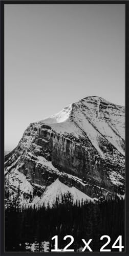 Frame It Easy 12 x 24 Satin Black Metal Frame (Ashford)