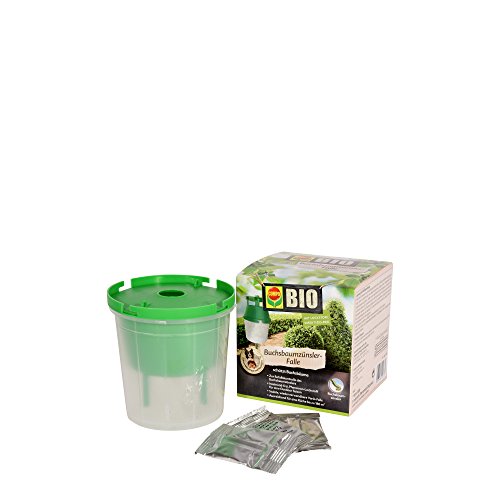 COMPO Buchsbaumzünsler-Falle, Inkl. 3 Lockstoff-Dispenser, Insektizid-frei - 5