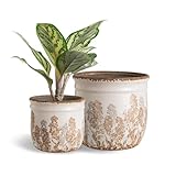 Set of 2 Ceramic Planters for Indoor Plants, 4.7+5.7 Inch Vintage Flower Pots...