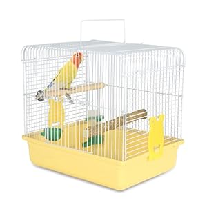 Portable Bird Cage for Small Birds – Parrot Lovebird Small Animal Carrier for Travel, Going Out, Walking to The Vet with Station Pole Food Box Water Fountain