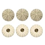 ibasenice Maceta Diseño de Concha de Erizo de Mar Natural 6 Piezas Macetas para Plantas de Aire 4-6 CM Decoración para Escritorio Peceras y Manualidades de Bricolaje