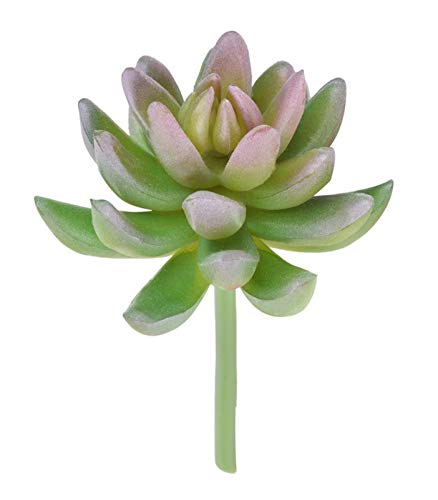 [SYJCCXD] tFjbNX22mmiCXgbv6 6pro 5 5plus 7935 945Av[`S60 S62uXbgxgEHb`ohEPIX