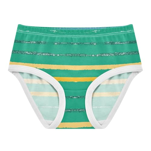 Cotton Panties Underwear for Daily Wear Organic Underwear for Toddler Girls in Sizes 2T,3T, 4T, 5T, 6Y and 8Y