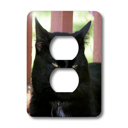 Cache de prise 2 prises chat noir protège et décore vos murs - 3
