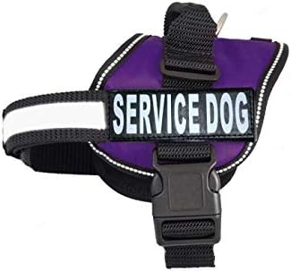 service dog gear amazon
