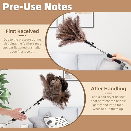 Image of Extendable Ostrich Feather Duster for Cleaning with 49 inch Rotatable Pole