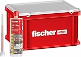 Fischer