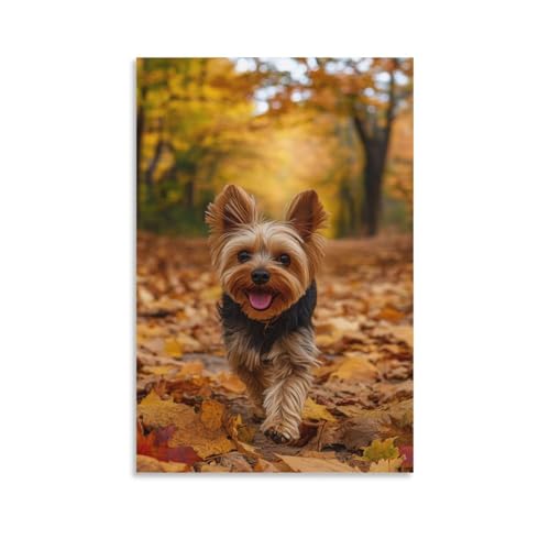 Pinturas murales de Yorkshire Terrier de 50x75cm para cubrir paredes vacías