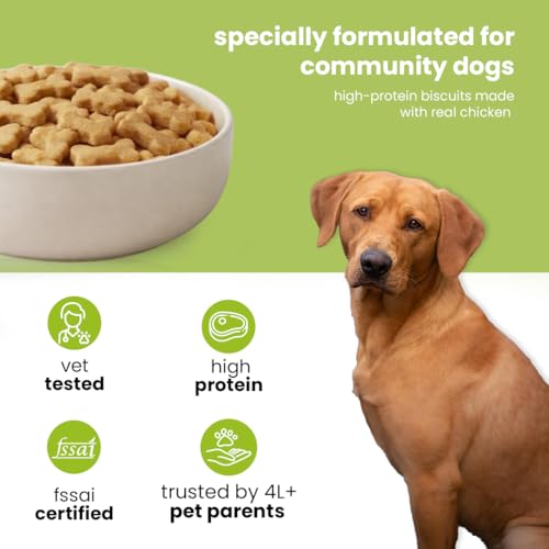 Image of Nootie Chicken Biscuits for Stray Dogs - 40g | High-Protein Crunchy Treat (Pack of 150)