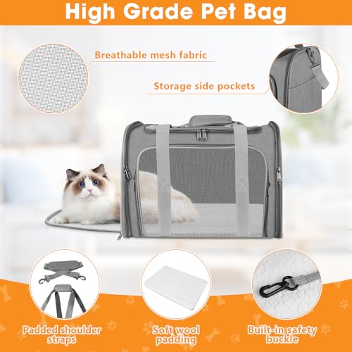 Transporttasche Katze und Hund, 45x30x30 cm Transportbox Katze, Katzentransporttasche Faltbar und Atmungsaktiv, Autoreise Transportbox für Katze und Mittelgroße Hund