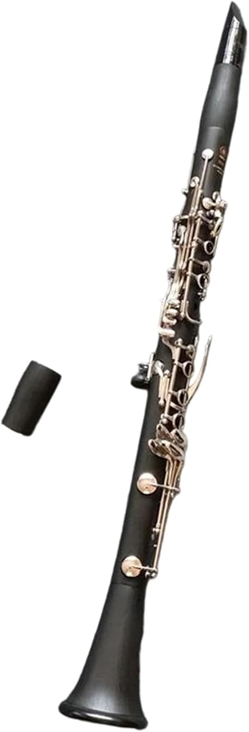Clarinet for Adult Beginners 17 Key B Flat Clarinet Woodwind Instrument