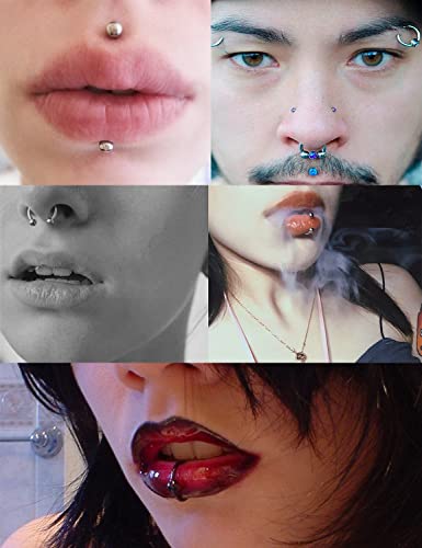 Vsnnsns 16G Lip Rings Stainless Steel Horseshoe Snake Bite Piercing Monroe Lip Rings Labret Medusa Piercing Jewelry Tragus Forward Helix Cartilage Earrings Studs Piercing Jewelry for Women Men 35PCS3