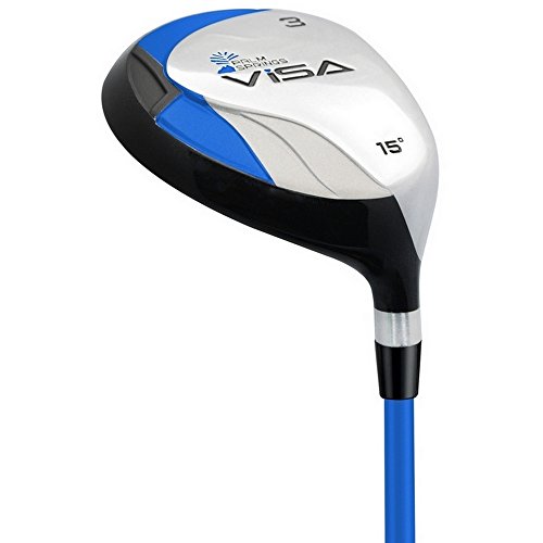 Palm Springs Golf Visa V2 Men's Graphite Club Set & Stand Bag