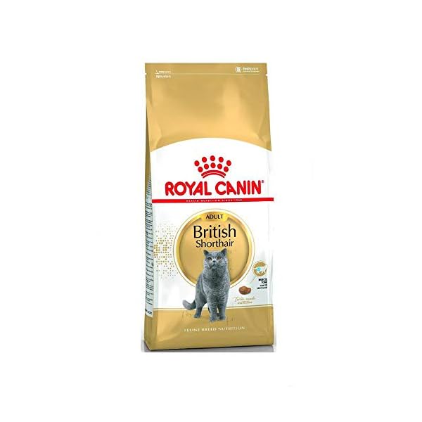 Royal Canin Feline British Shorthair, 1er Pack (1 x 10 kg Beutel) - Katzenfutter