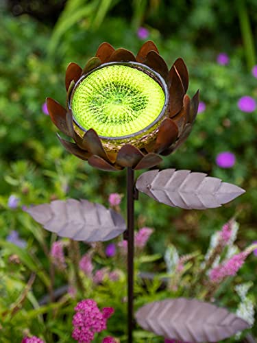 image for Gardener's Supply Company Gardeners Supply Company Dahlia Butterfly Fe