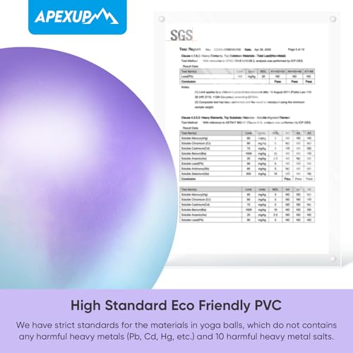 Image of APEXUP Yoga Ball, 660 lbs Anti-Burst Exercise Ball with Pump, 5 Sizes | Anti-Burst, Anti-Slip, SGS Certified, Strengthens Core, Improves Balance & Posture, Boosts Flexibility & Stability