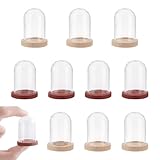 NBEADS 10 Sets Mini Eternal Flower Glass Dome Cloche, Clear Glass Display Case with 2 Colors Wooden Base Bell Jar Cloche for Valentine's Day Mother's Day Flower Decorations Crafts, 1.6x1inch