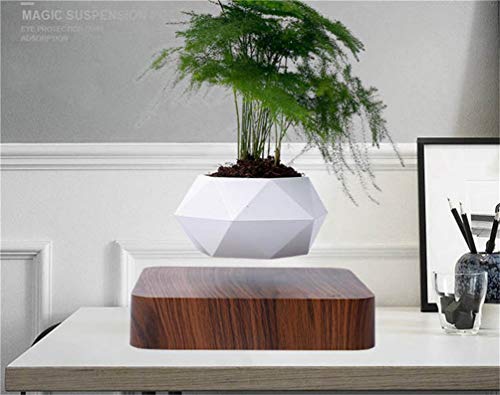 Photo complémentaire