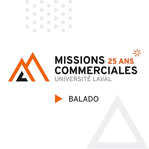 Le virtuel et le commerce international