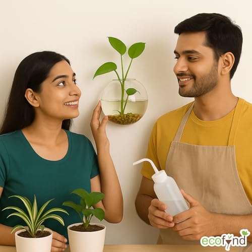 Image of ecofynd Glass Vase for Flowers Plants, Modern Decorative Vase for Home Decor Center Table, Bedroom, Living Room, Office Decoration, Wedding or Gifts, Fish Tank (GVASE007)