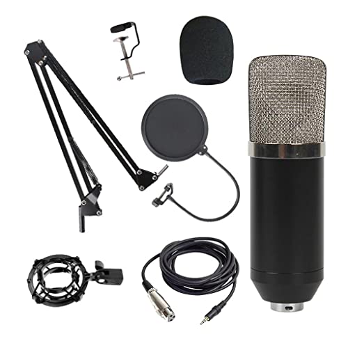 Image of BNF Condenser Microphone Kit For Studio Recording Silver A