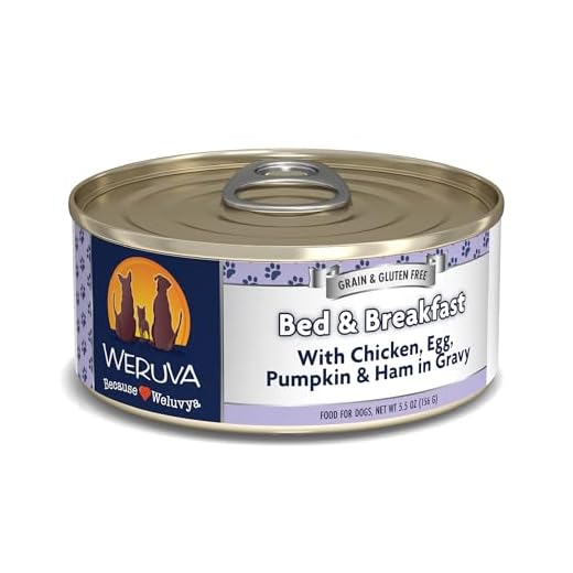 Weruva Classic Dog Food, Bed & Breakfast with Chicken, Egg, Pumpkin & Ham in Gravy, 5.5oz Can (Pack of 24), Blue