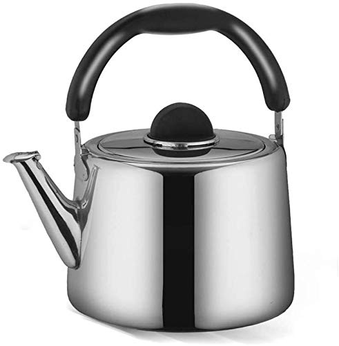 Théière siffleuse SHISHI 4L pour partager de grands moments de thé