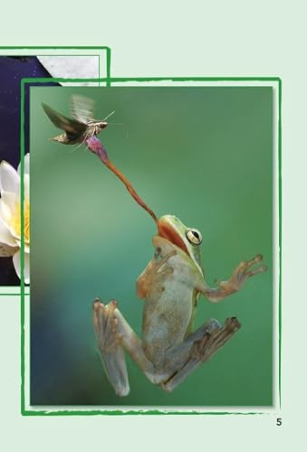 image for Shell Education Teacher Created Materials - TIME For Kids Informationa