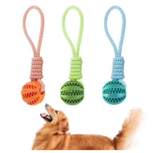 GmwyCzV 3 Stück Hundespielzeug,5cm Hundespielzeug Ball mit Seil Naturkautschuk Ball,Interaktives Hundeball Spielzeug,Kauspielzeug für kleine mittlere große Hunde für Zahnpflege (Blau Orange Grün)