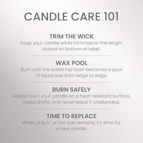 Yankee Candle Large Jar Scented Candle with up to 150 Hour Burn Time, Premium Plant Wax Blend for Consistent Burn, 22 oz Jar Candle with Room Filling Fragrance, Silver Birch