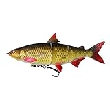 DAM Effzett Natural Whitefish SL 14cm 30g Rudd Die EFFZETT Natural Whitefish-Idee entsprang der simplen Tatsache, dass, wo auch immer Hechte und Weißfische im selben Gewässer leben, Weißfische die bevorzugte Beute für die großen Hechte sind. Die Tatsache, das diese Hechte sich hauptsächlich von Weißfisch ernähren, war der Grund, einen Softlure zu entwickeln, der in Form und Farbe einem echten Weißfisch gleicht. Der EFFZETT Natural Whitefish ist ein typischer Swimbait mit einer recht ag