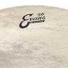 Evans Bass Drum Heads - BD24GB4CT - 24 inch EQ4 Calftone Bass Drum Head #1