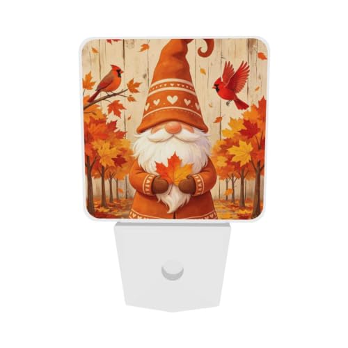 Image of Fall Leaves Birds Gnome LED Plug-in Nightlights 2-Pack for Bathroom