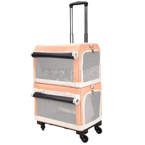 Vifxucy ybgL[obOA360xjo[TzC[tybgP[WAO\ȏ㕔Ɖ̓dwg[ybgxr[J[A|[^u ܂肽ݎL[obOA^ALAɓKĂAOł̎UAsAԁAa@ł̎ÂȂ